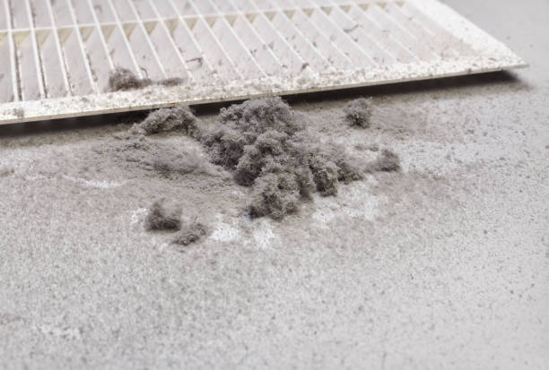 Best Air Duct Cleaning Near Me  in Muskegon, MI
