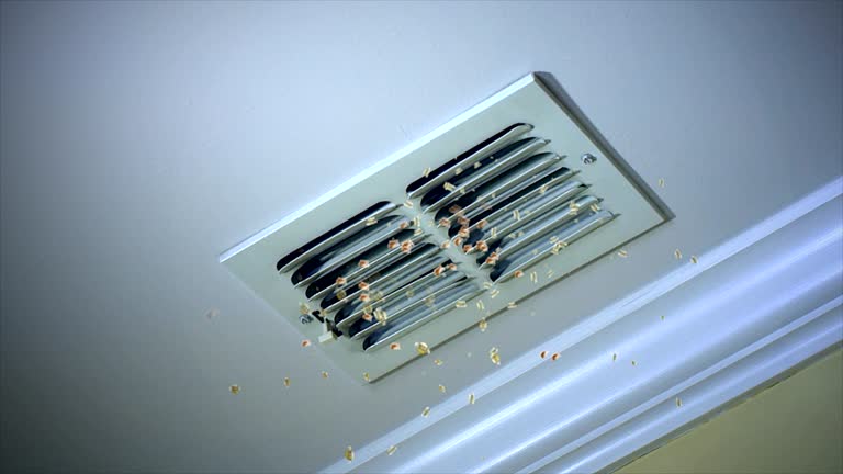 Best Duct Cleaning for Homes  in Muskegon, MI