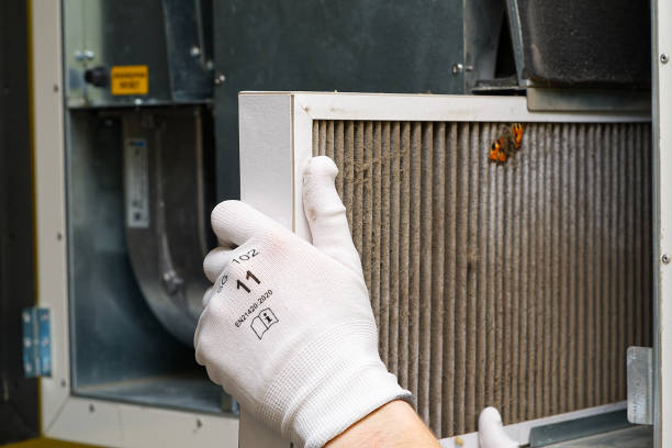 Best HVAC Maintenance and Cleaning  in Muskegon, MI